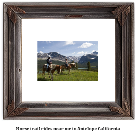 horse trail rides near me in Antelope, California